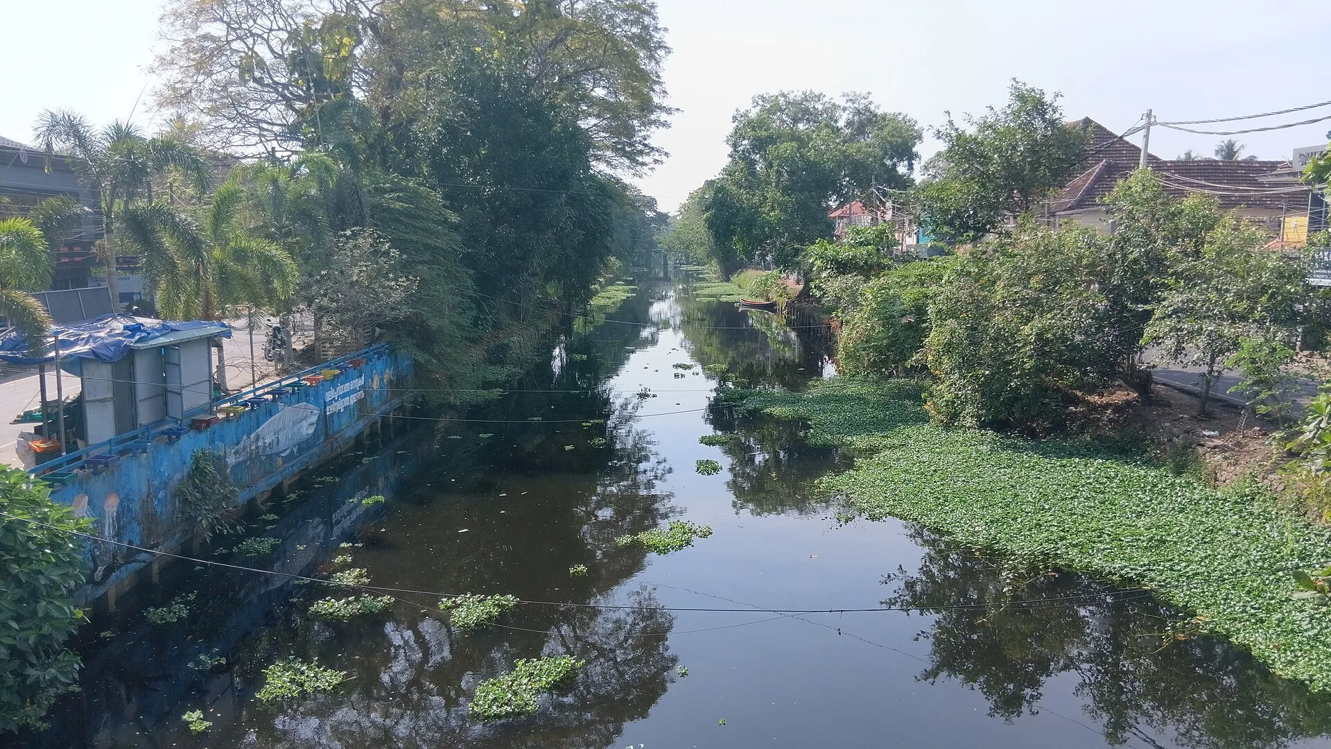 Alleppey Shikara Boats on the Alleppey Kerala backwaters