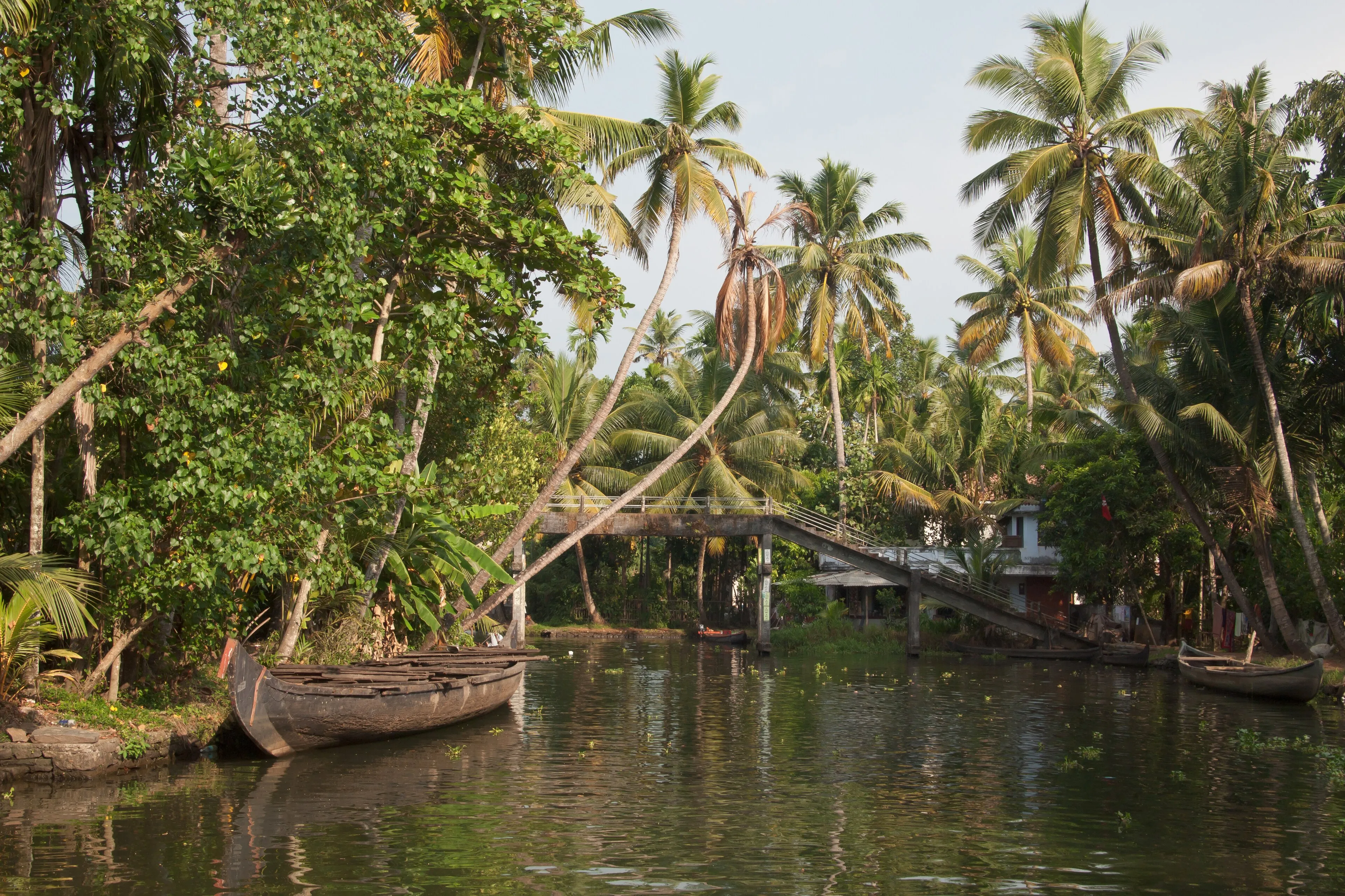 Alleppey Houseboat Day Cruise on the Alleppey Kerala backwaters